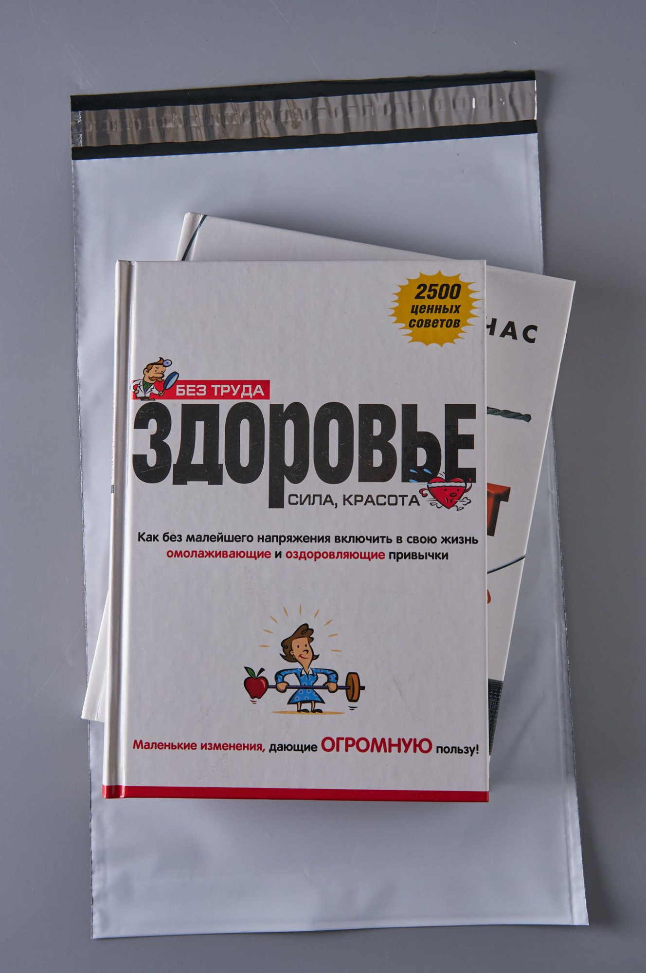 Курьерский пакет, 250х400+35, без кармана, 50 мкм, 500шт.